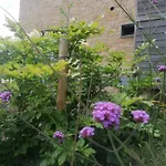 Apartment Les Hauts De Meez