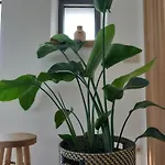 Апартаменты Les Hauts De Meez