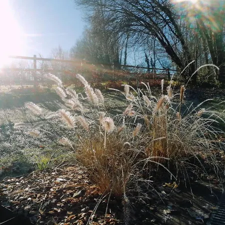 Apartment Les Hauts De Meez Dinant