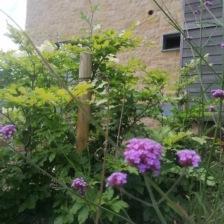 Apartment Les Hauts De Meez