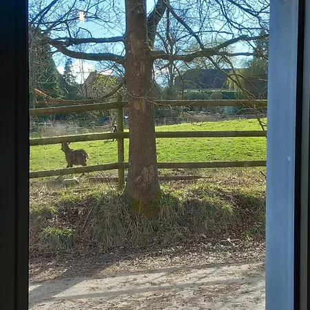 Apartment Les Hauts De Meez