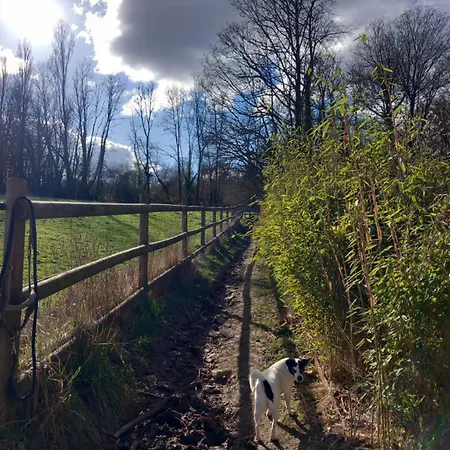 Apartamento Les Hauts De Meez