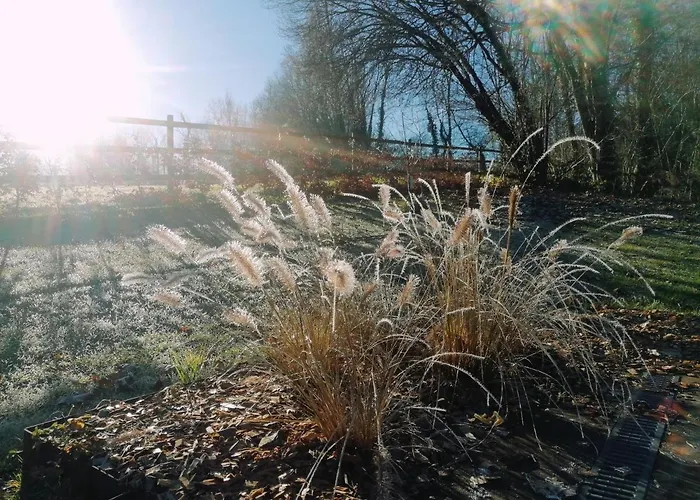 Apartment Les Hauts De Meez Dinant