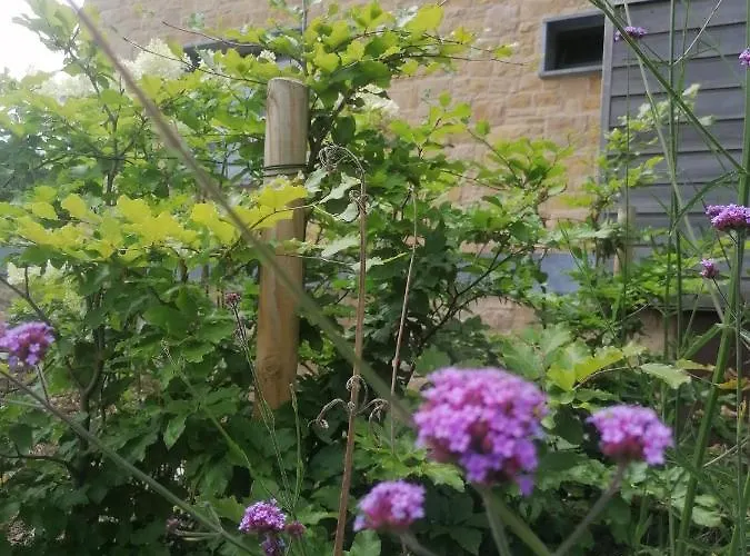 Apartment Les Hauts De Meez