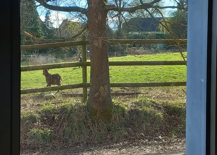 Apartment Les Hauts De Meez