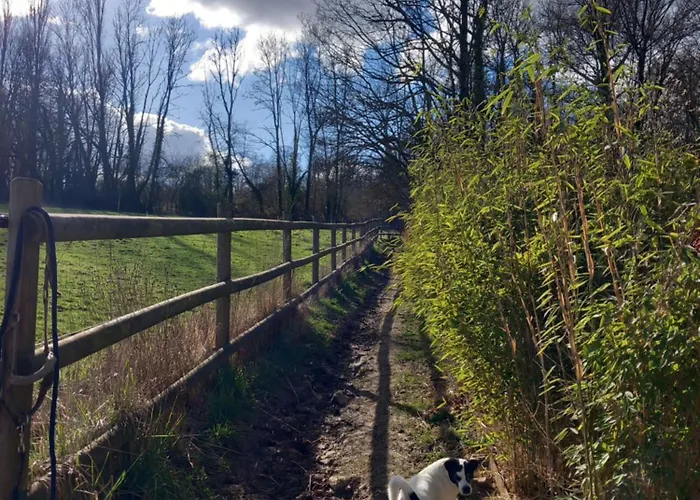 Apartment Les Hauts De Meez