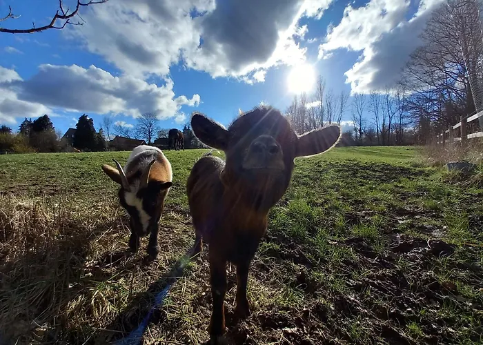 Les Hauts De Meez Apartment